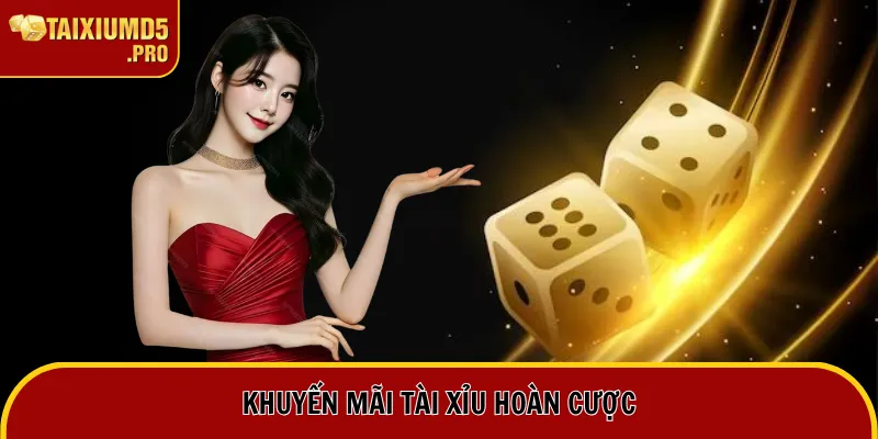 Khuyến Mãi Tài Xỉu 3 Khuyến mãi tài xỉu hoàn cược
